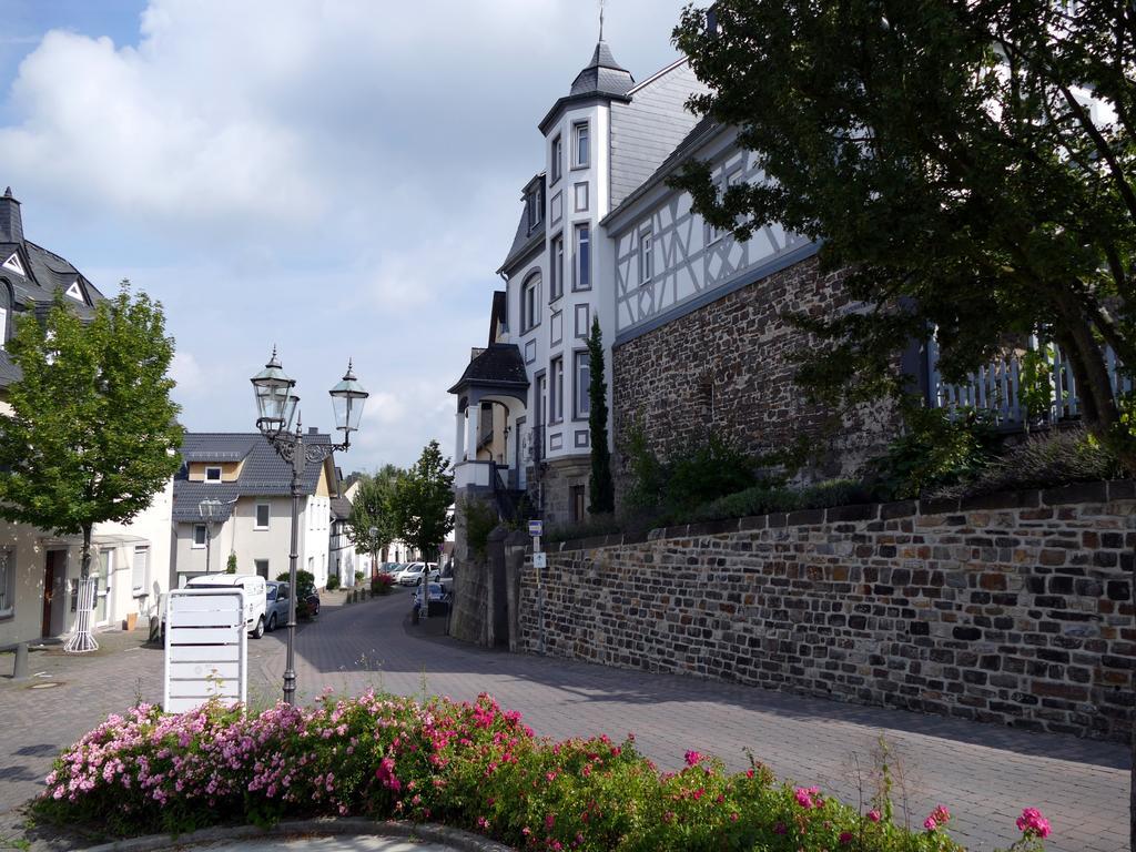 Apartments Im Chateau D'Esprit Höhr-Grenzhausen Exteriör bild